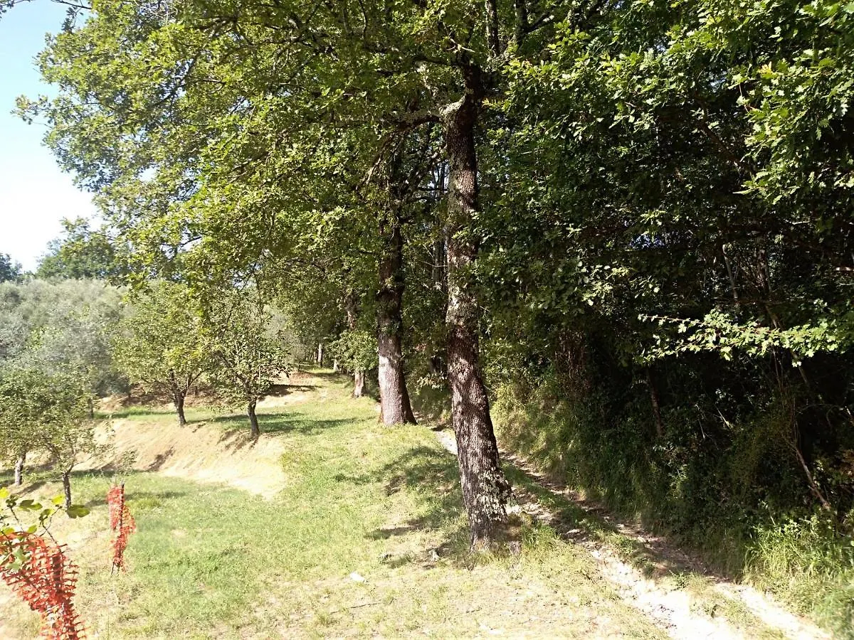 Holiday home Castello Di Rometta Villa Fivizzano